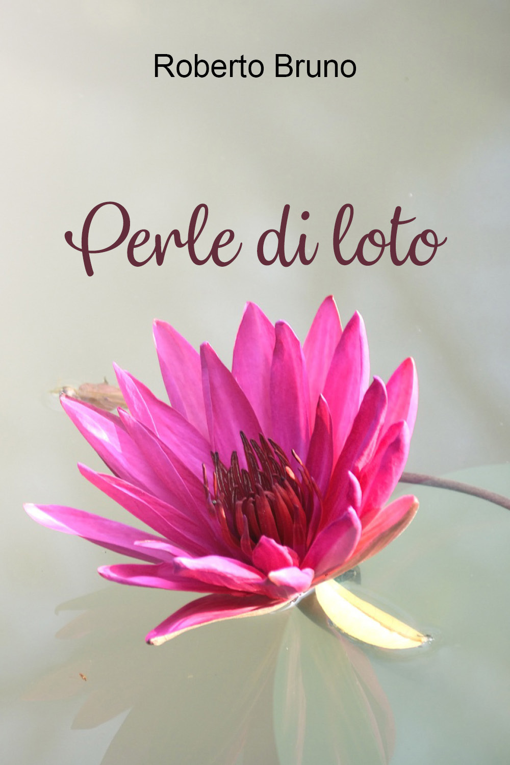 Perle di loto