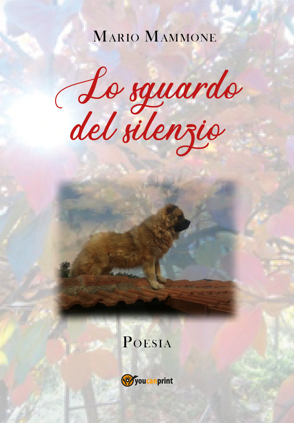 Lo sguardo del silenzio