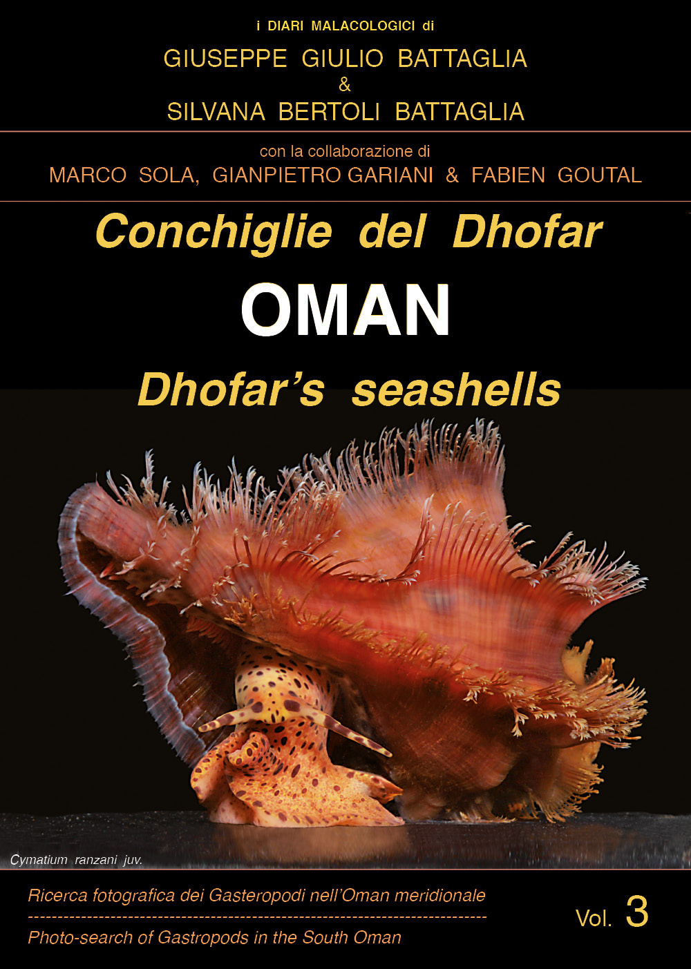 Conchiglie del Dhofar. Oman-Dhofar's seashells. Oman. Ediz. a colori