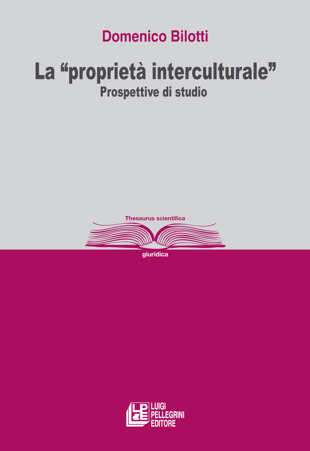 La «proprietà interculturale». Prospettive di studio