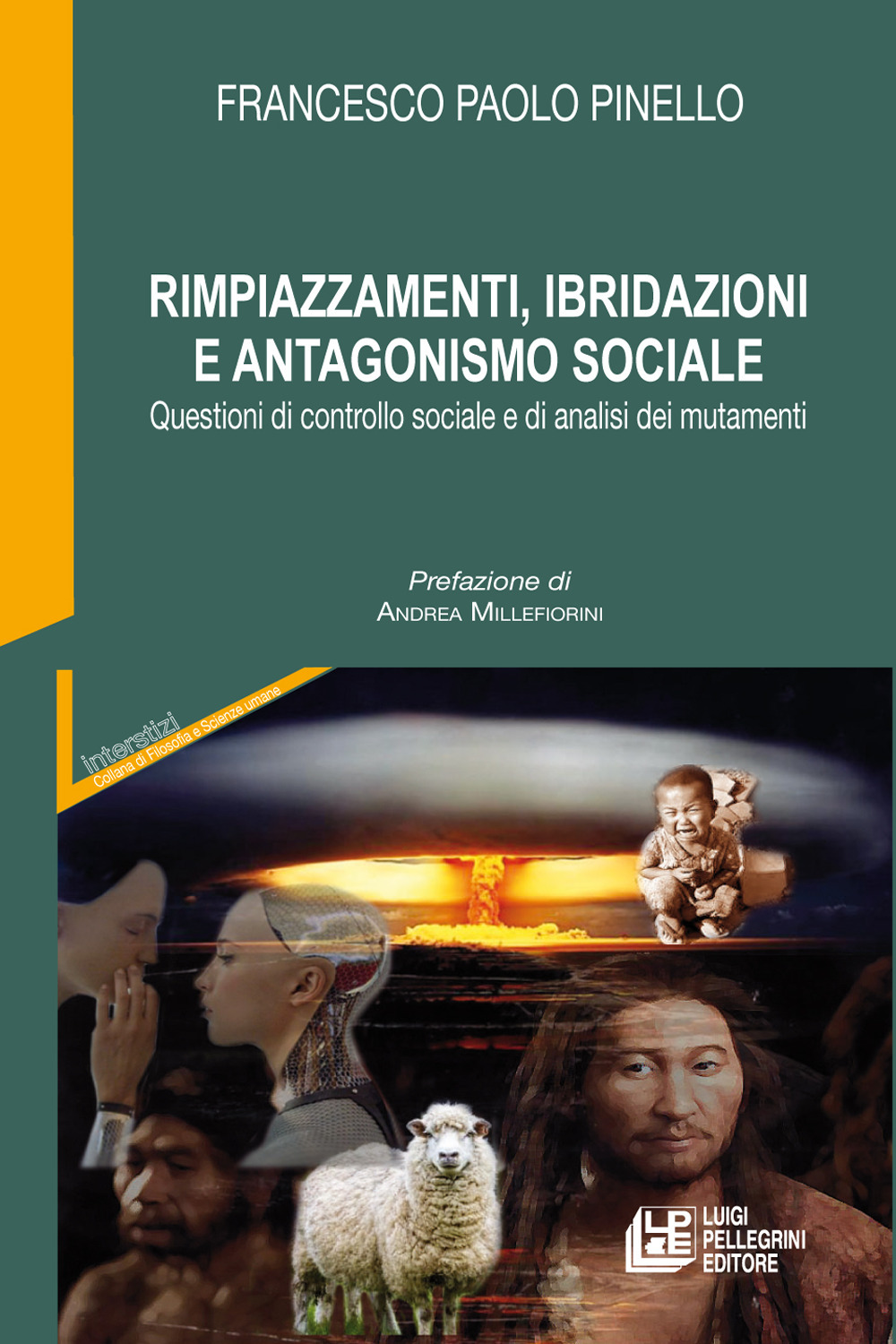 Rimpiazzamenti, ibridazioni e antagonismo sociale. Questioni di controllo sociale e di analisi dei mutamenti