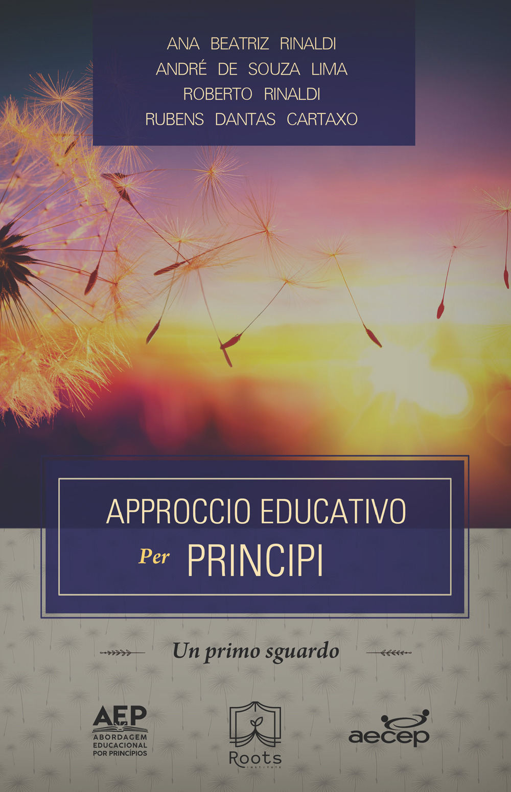 Approccio educativo per principi. Un primo sguardo