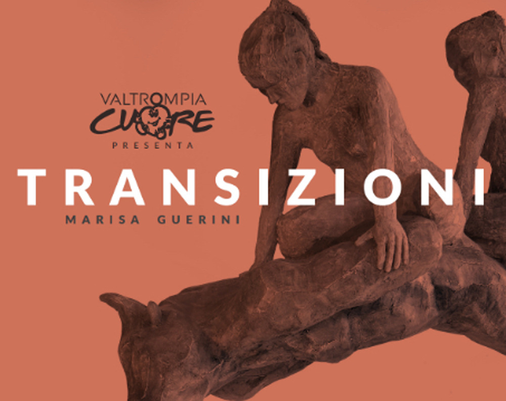 Transizioni. Marisa Guerini