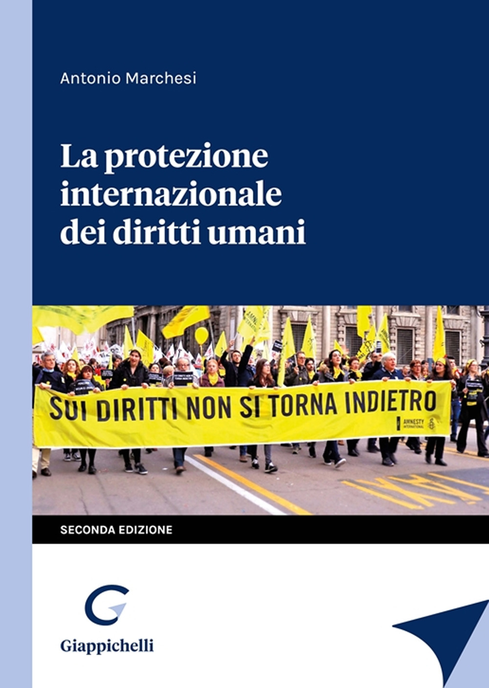 La protezione internazionale dei diritti umani