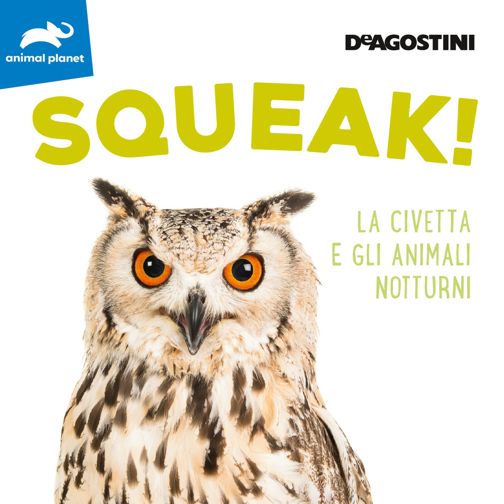 Squeak! La civetta e gli animali notturni. Ediz. a colori