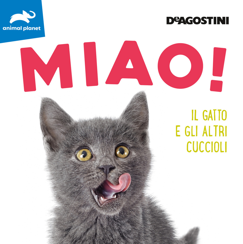 Miao! Il gatto e gli altri cuccioli. Ediz. a colori