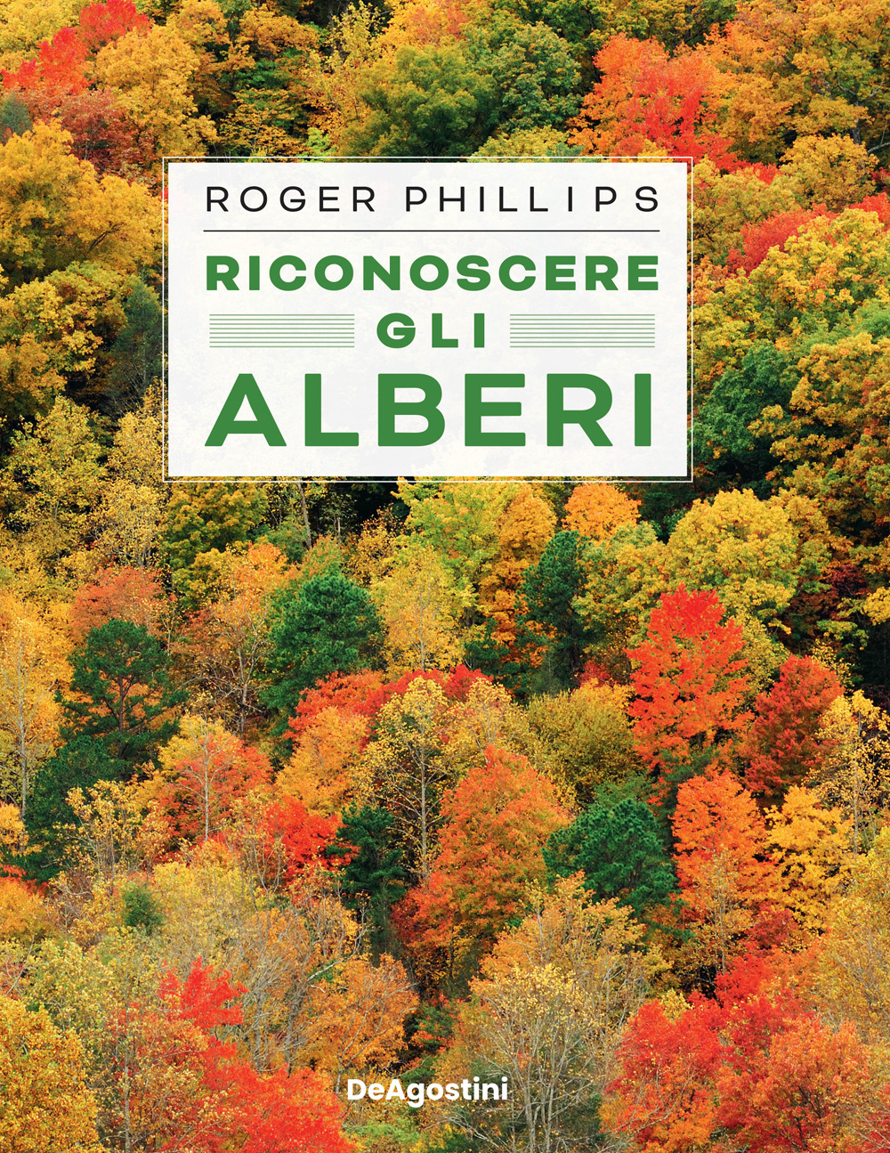 Riconoscere gli alberi. Ediz. a colori