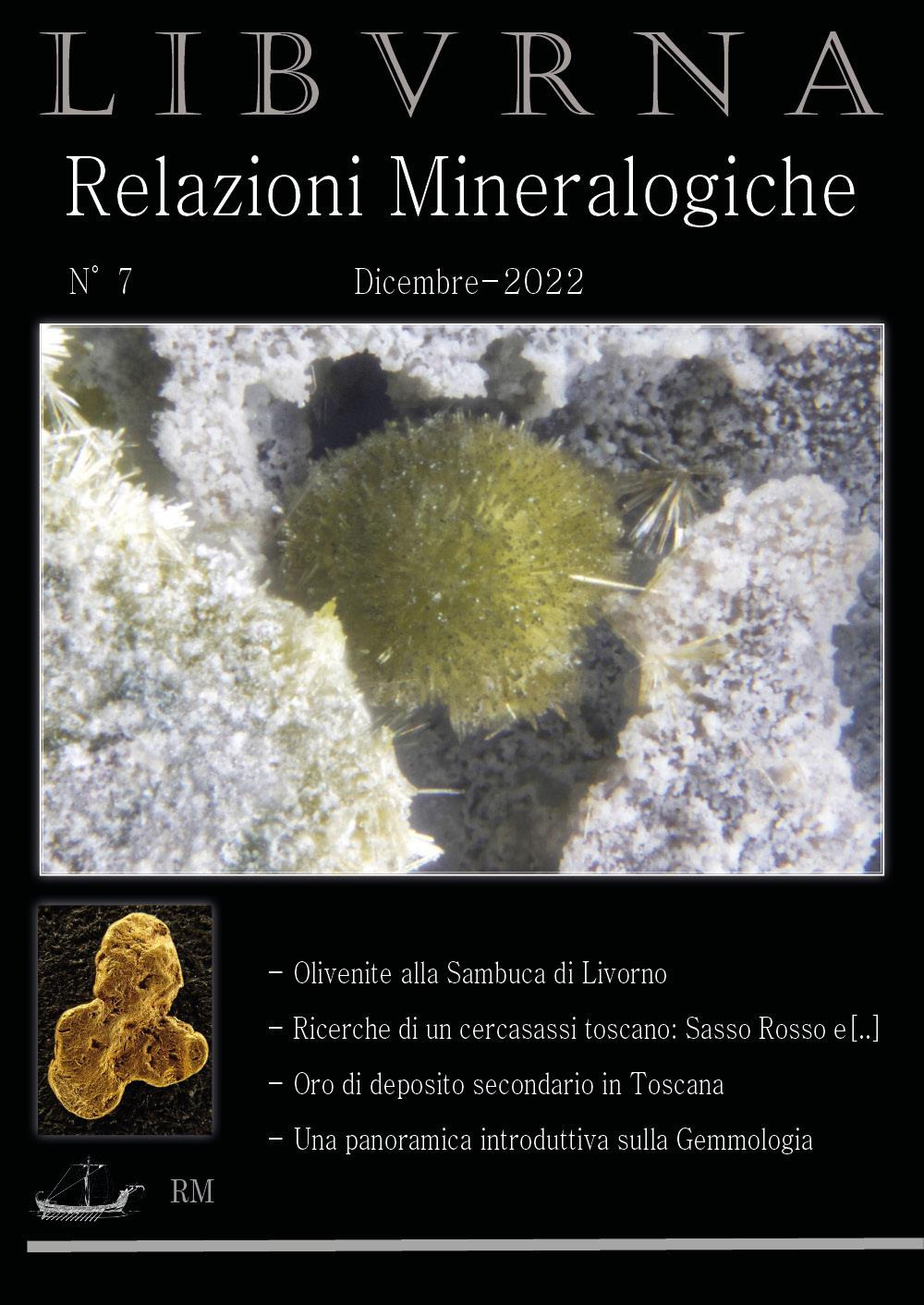 Relazioni mineralogiche. Libvrna. Vol. 7