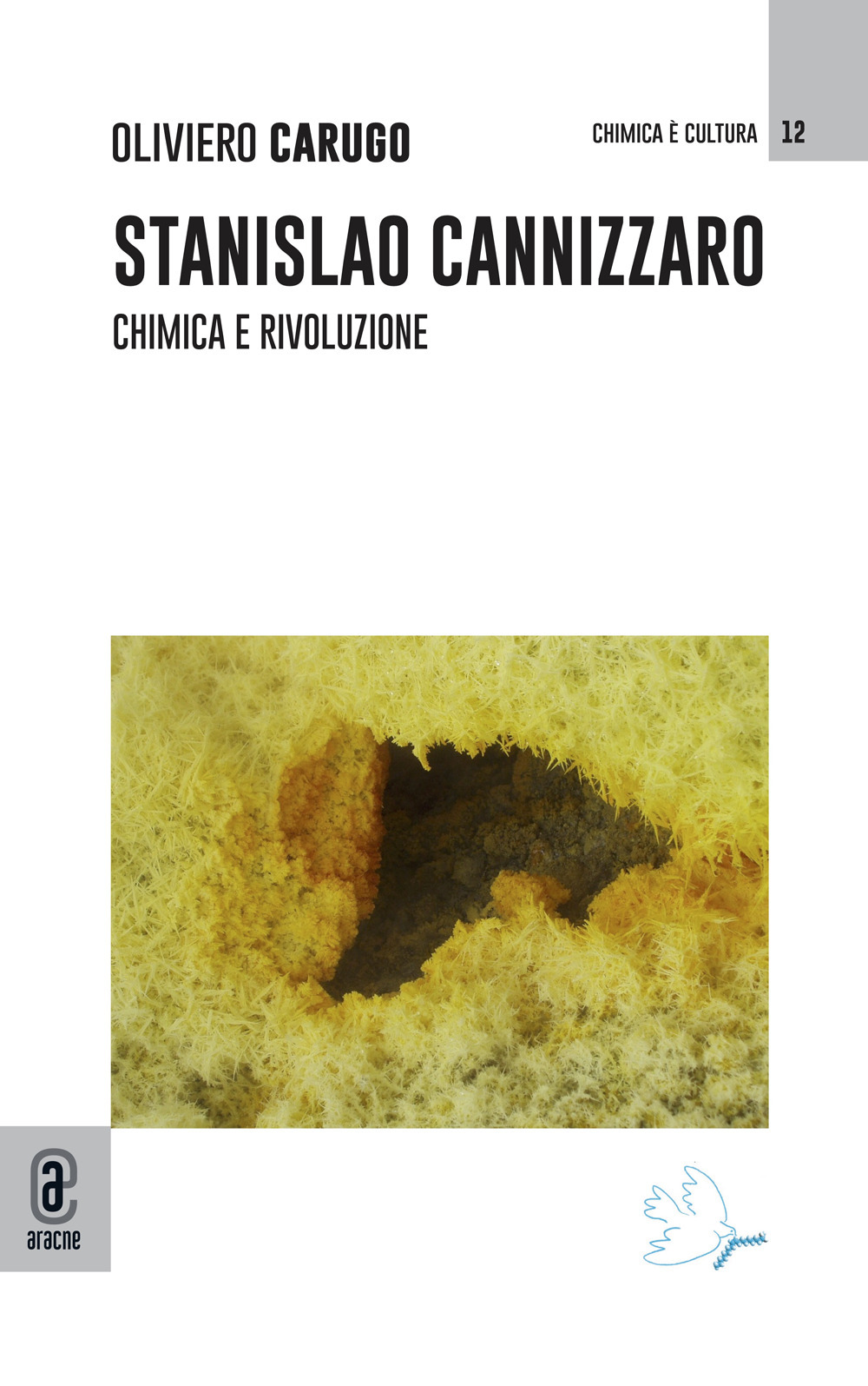 Stanislao Cannizzaro. Chimica e rivoluzione