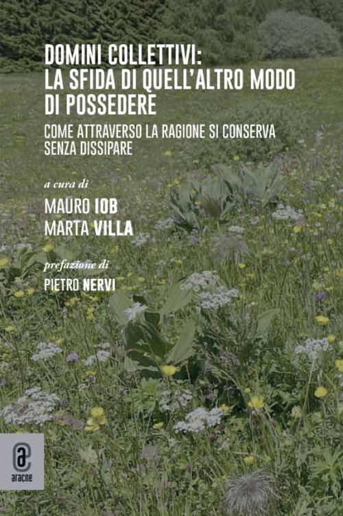 Domini collettivi: la sfida di quell'altro modo di possedere. Come attraverso la ragione si conserva senza dissipare