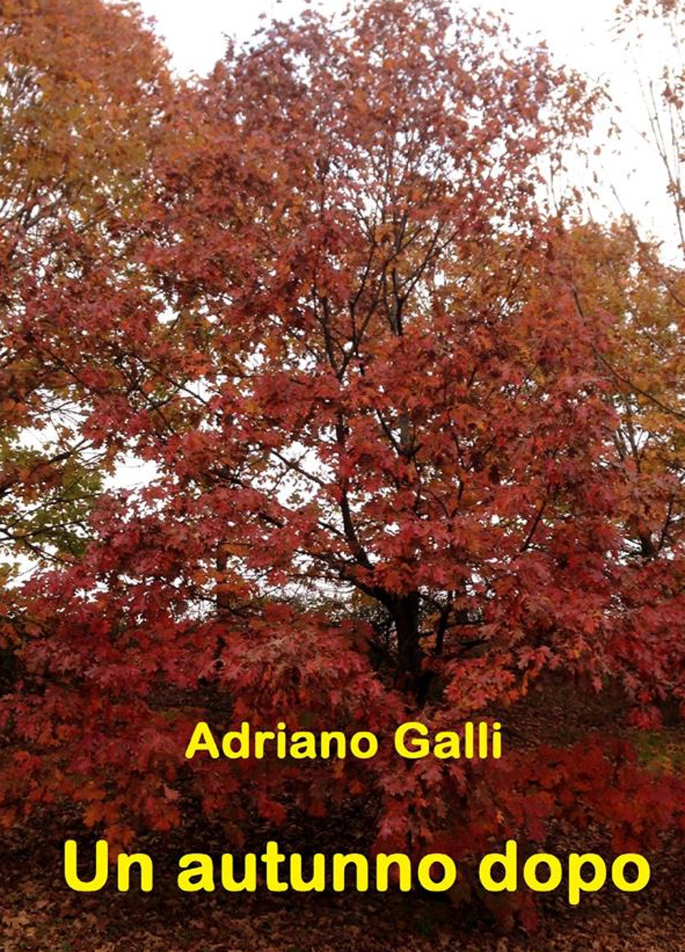 Un autunno dopo