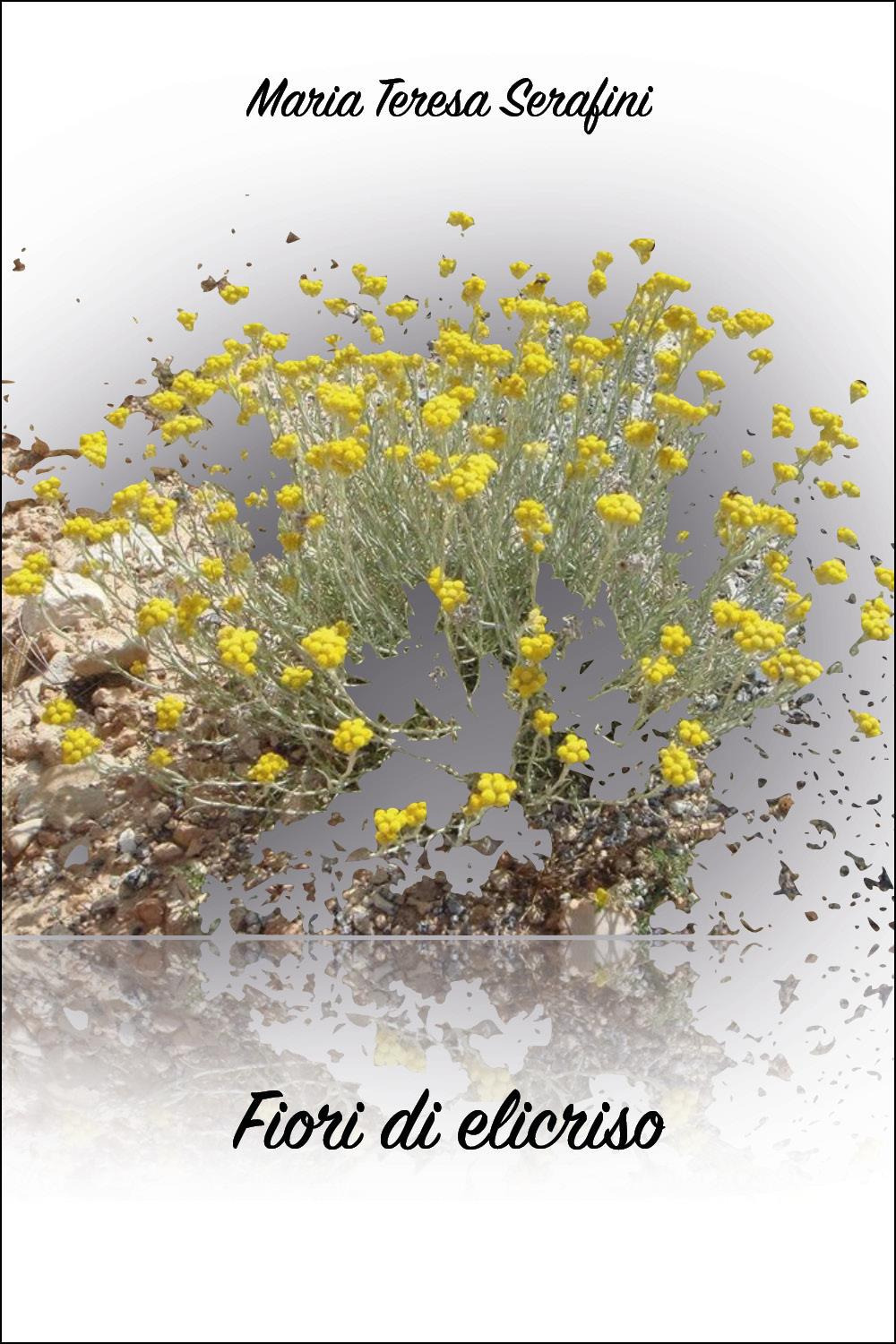 Fiori di elicriso