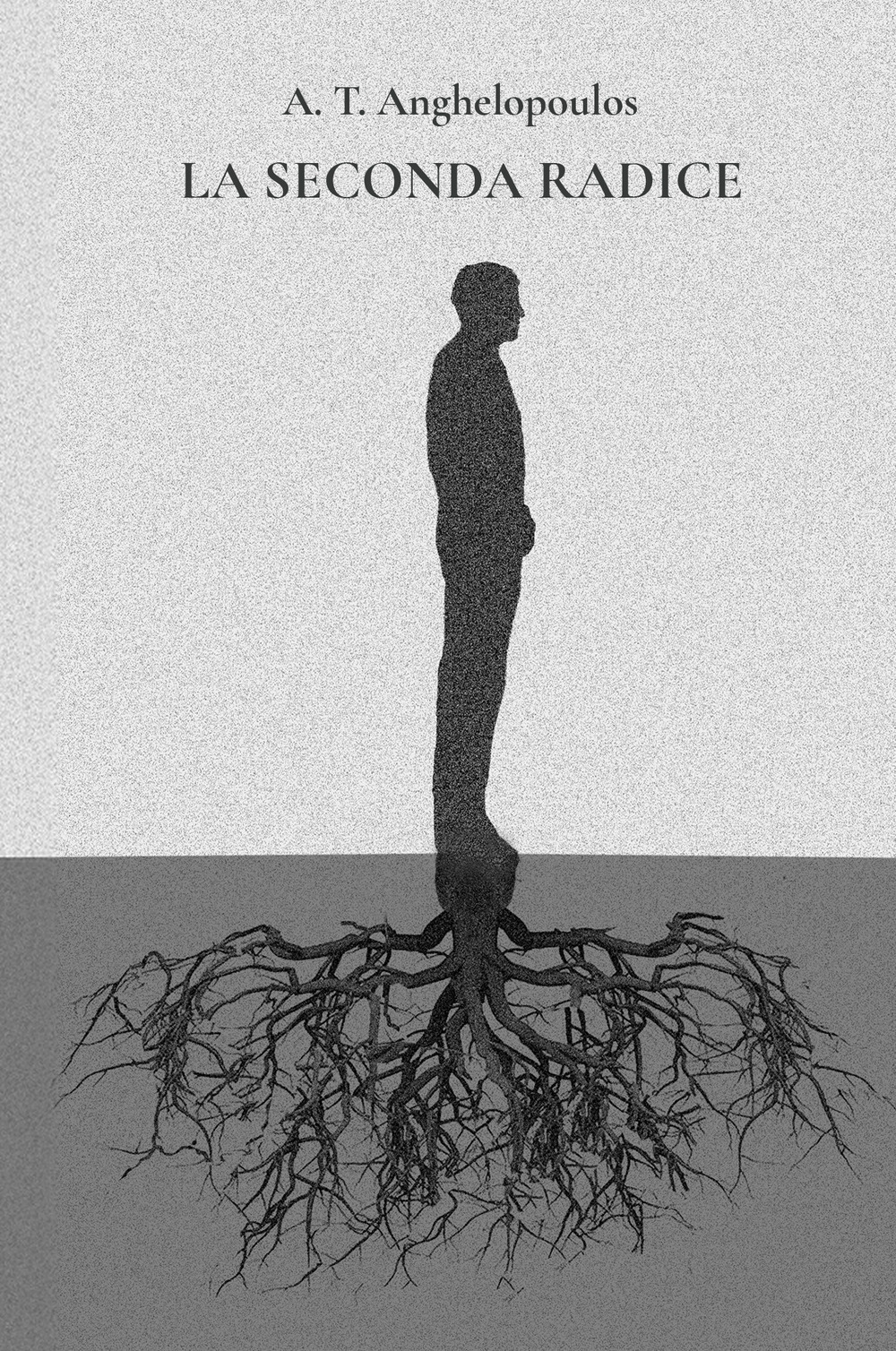 La seconda radice