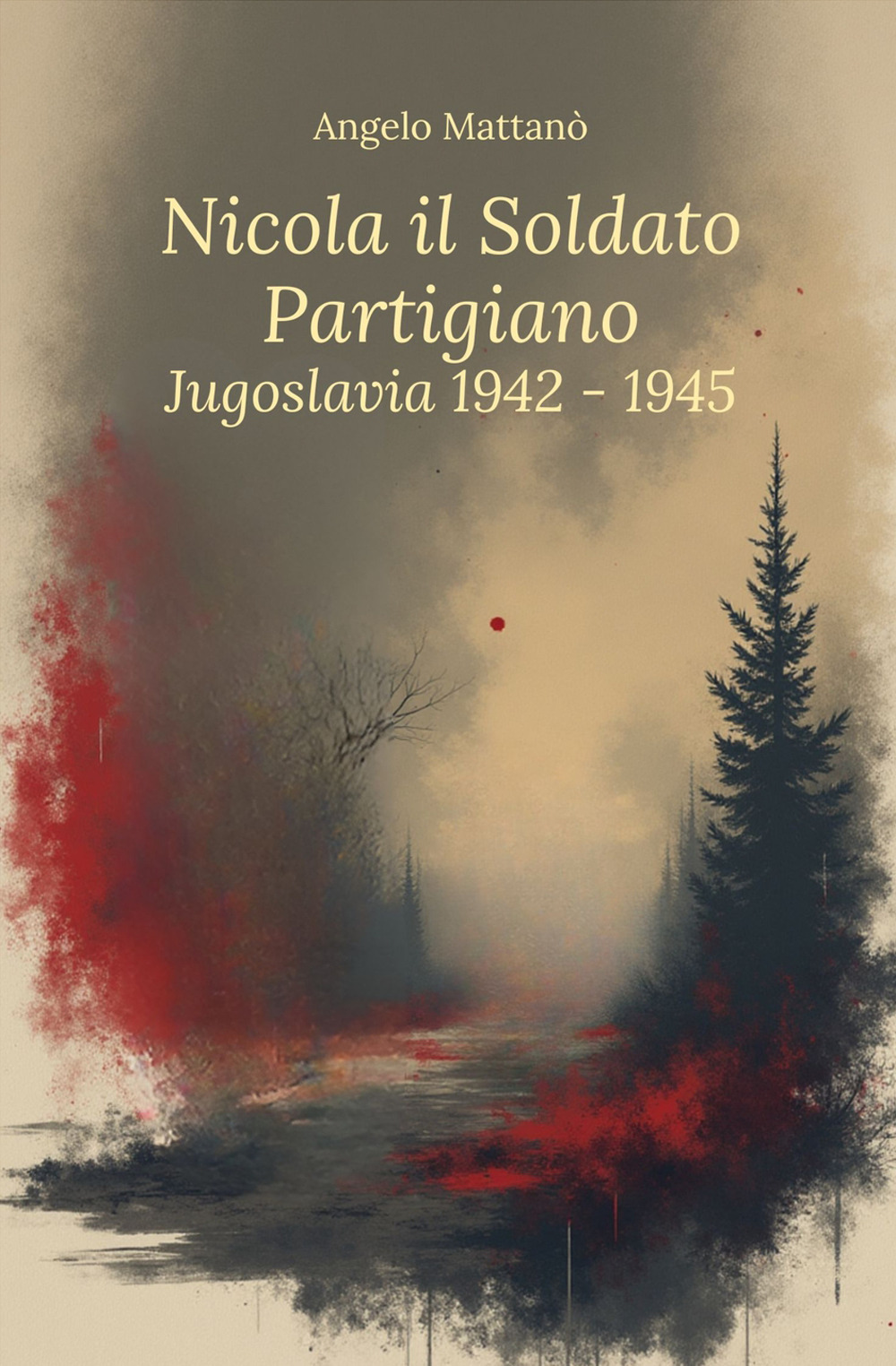 Nicola il soldato partigiano. Jugoslavia 1942-1945