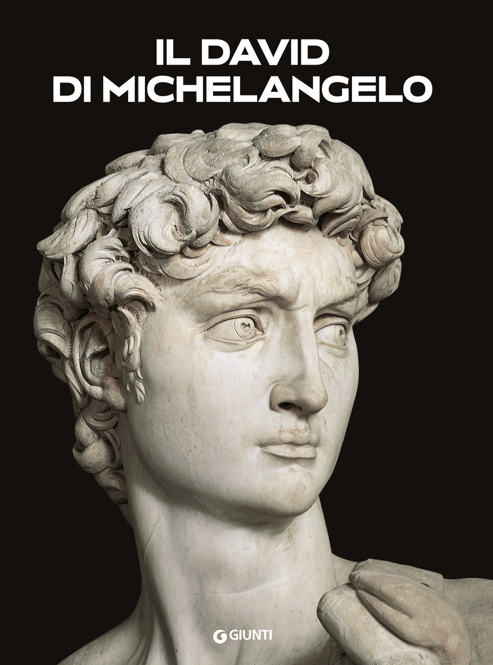 Il David di Michelangelo