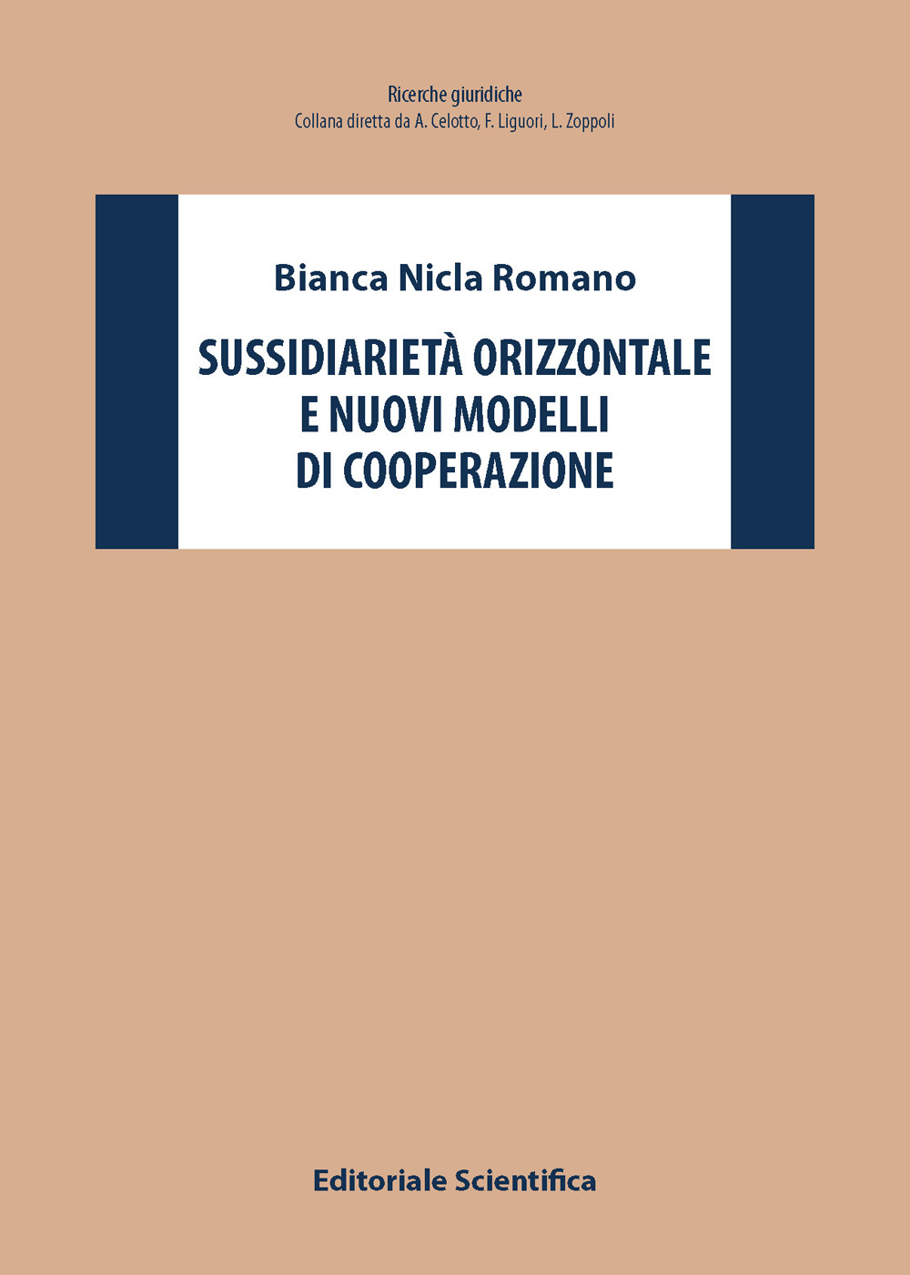Sussidiarietà orizzontale e nuovi modelli di cooperazione