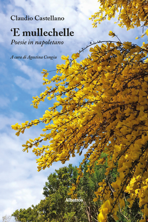 'E mullechelle. Poesie in napoletano