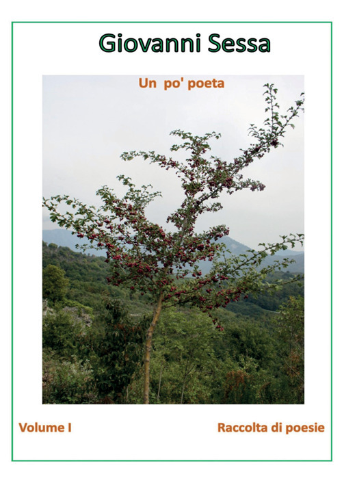 Un po' poeta. Vol. 1