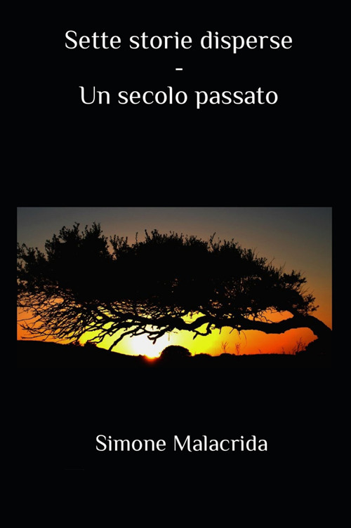 Un secolo passato. Sette storie disperse