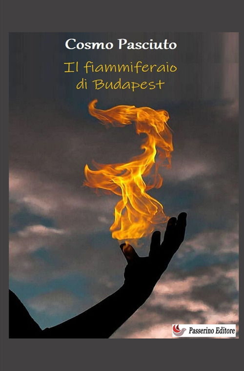 Il fiammiferaio di Budapest. Nuova ediz.