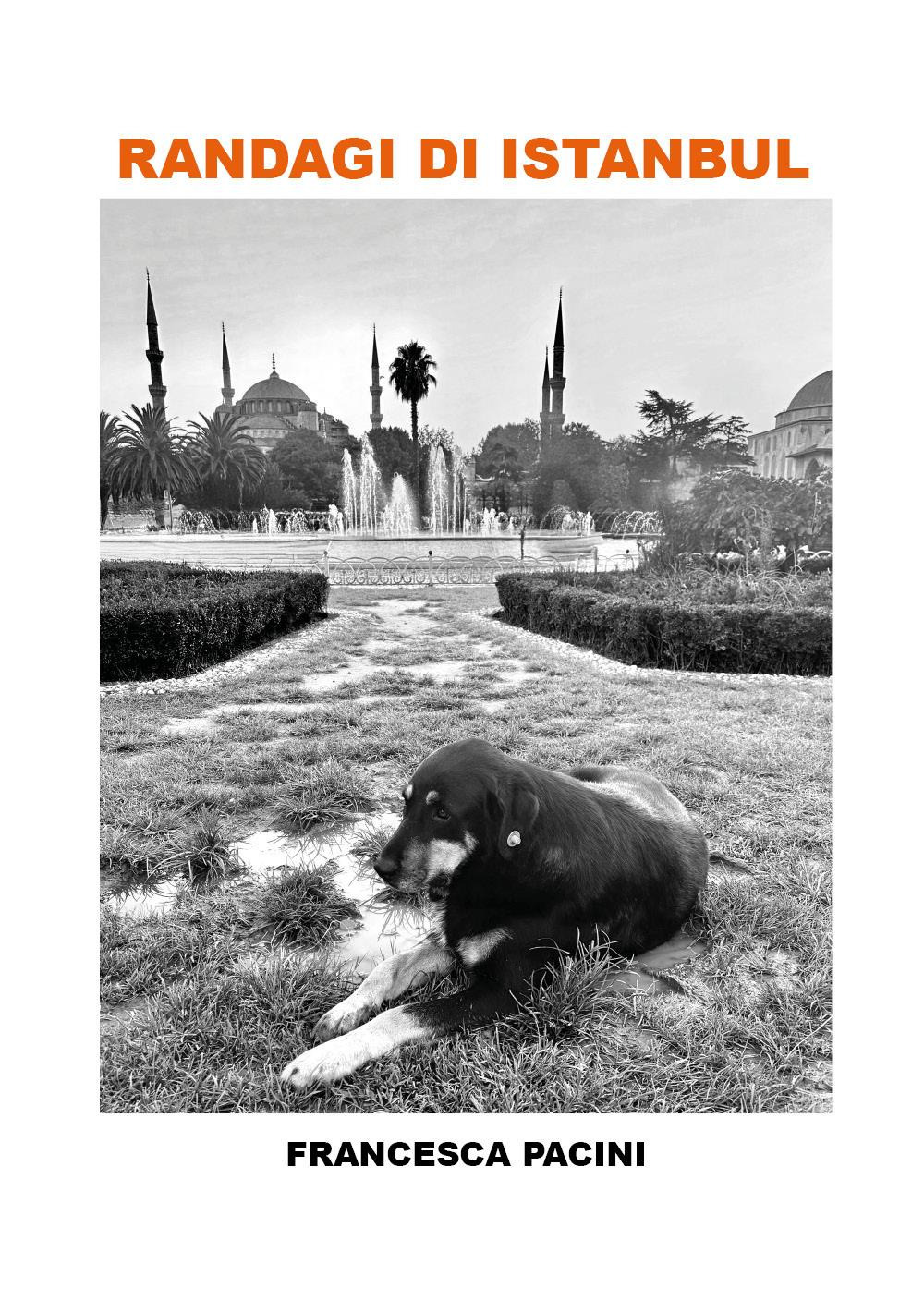 Randagi di Istanbul