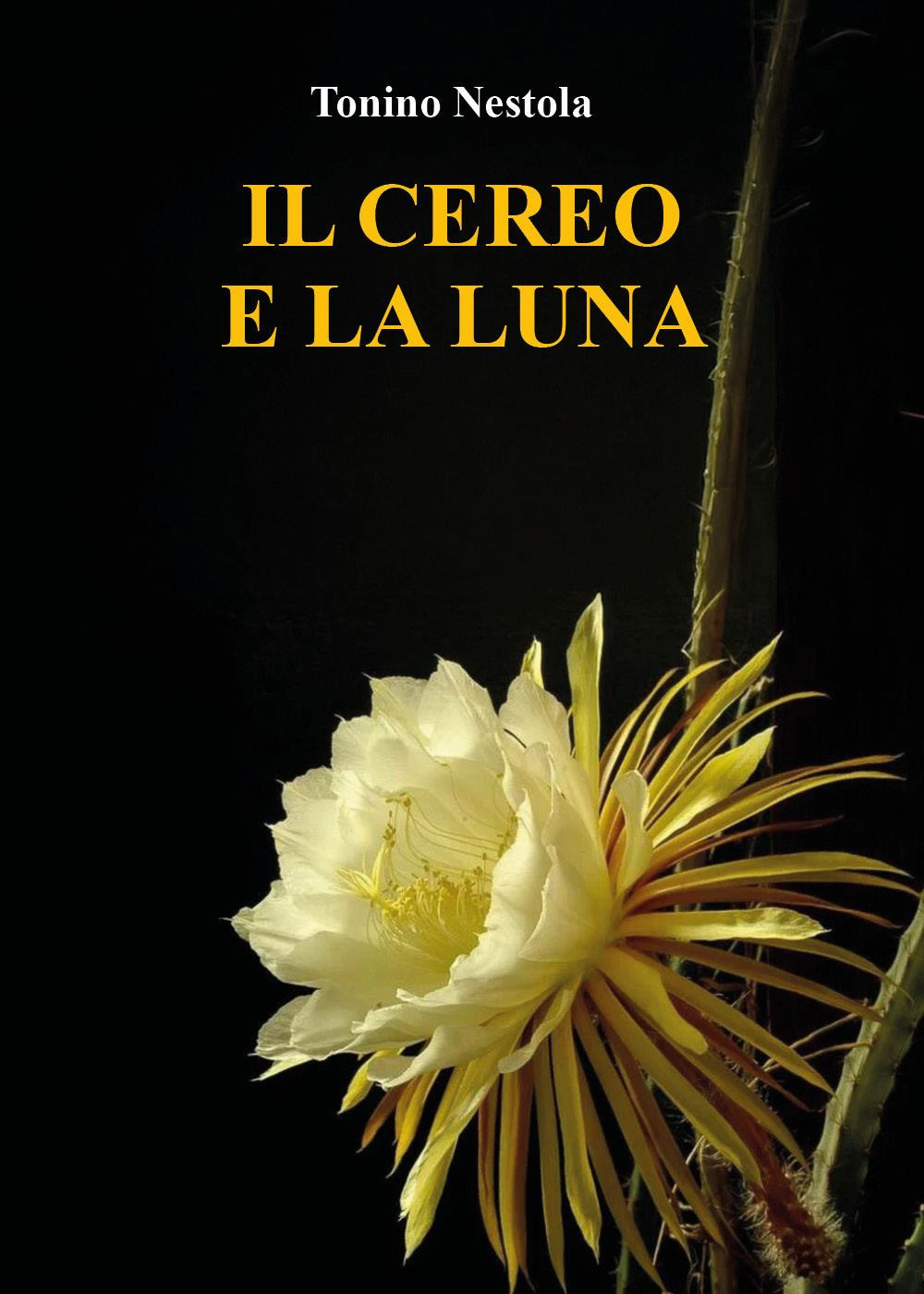 Il cereo e la luna