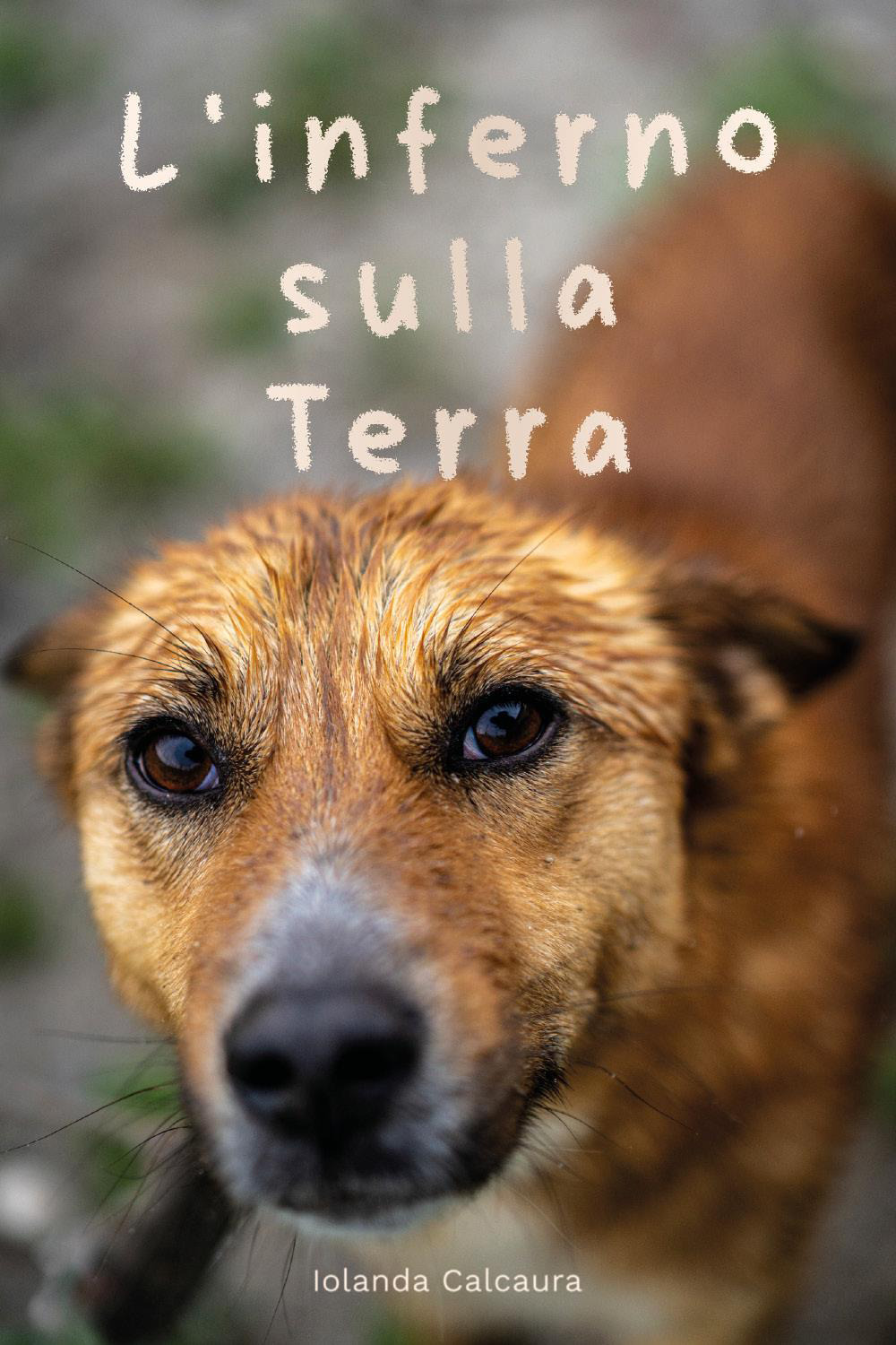 L'inferno sulla terra