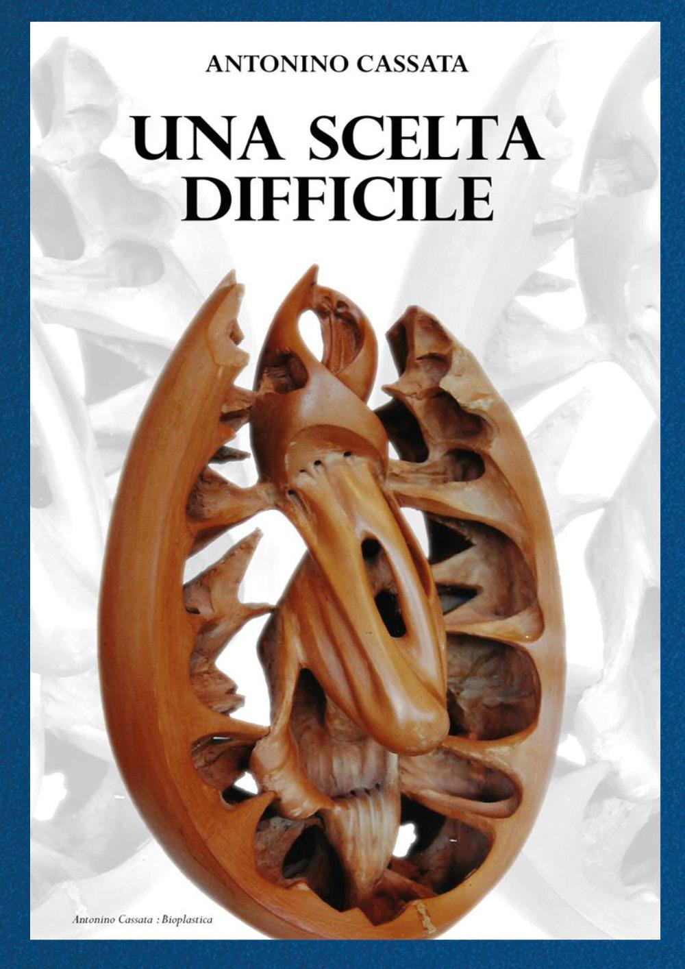 Una scelta difficile