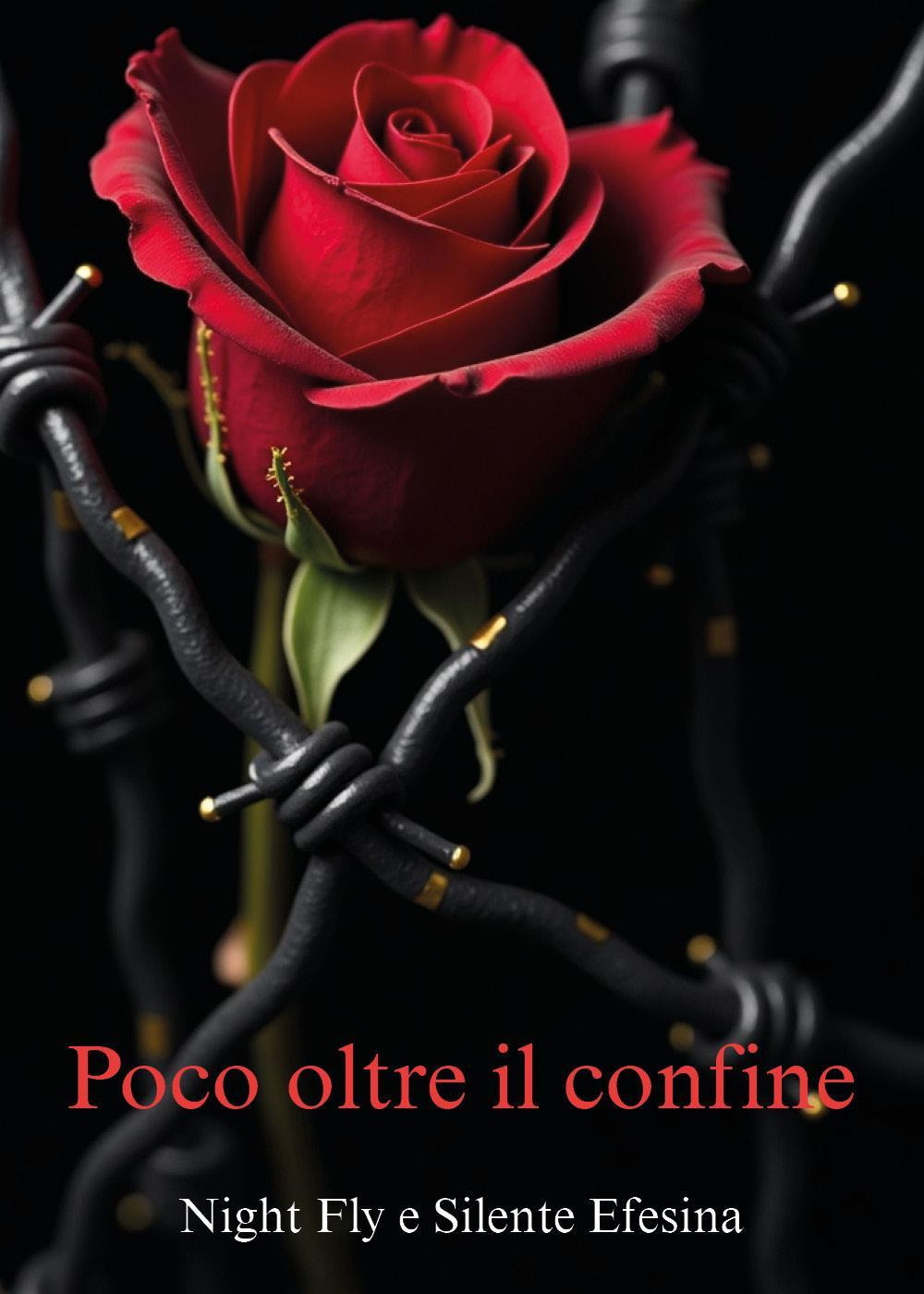 Poco oltre il confine