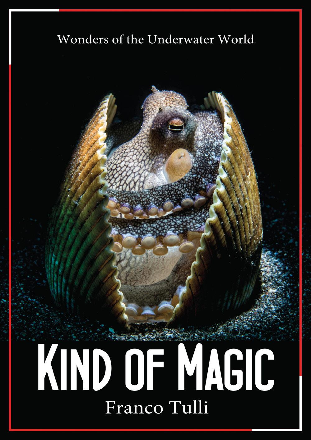 Kind of magic. Wonders of the underwater world