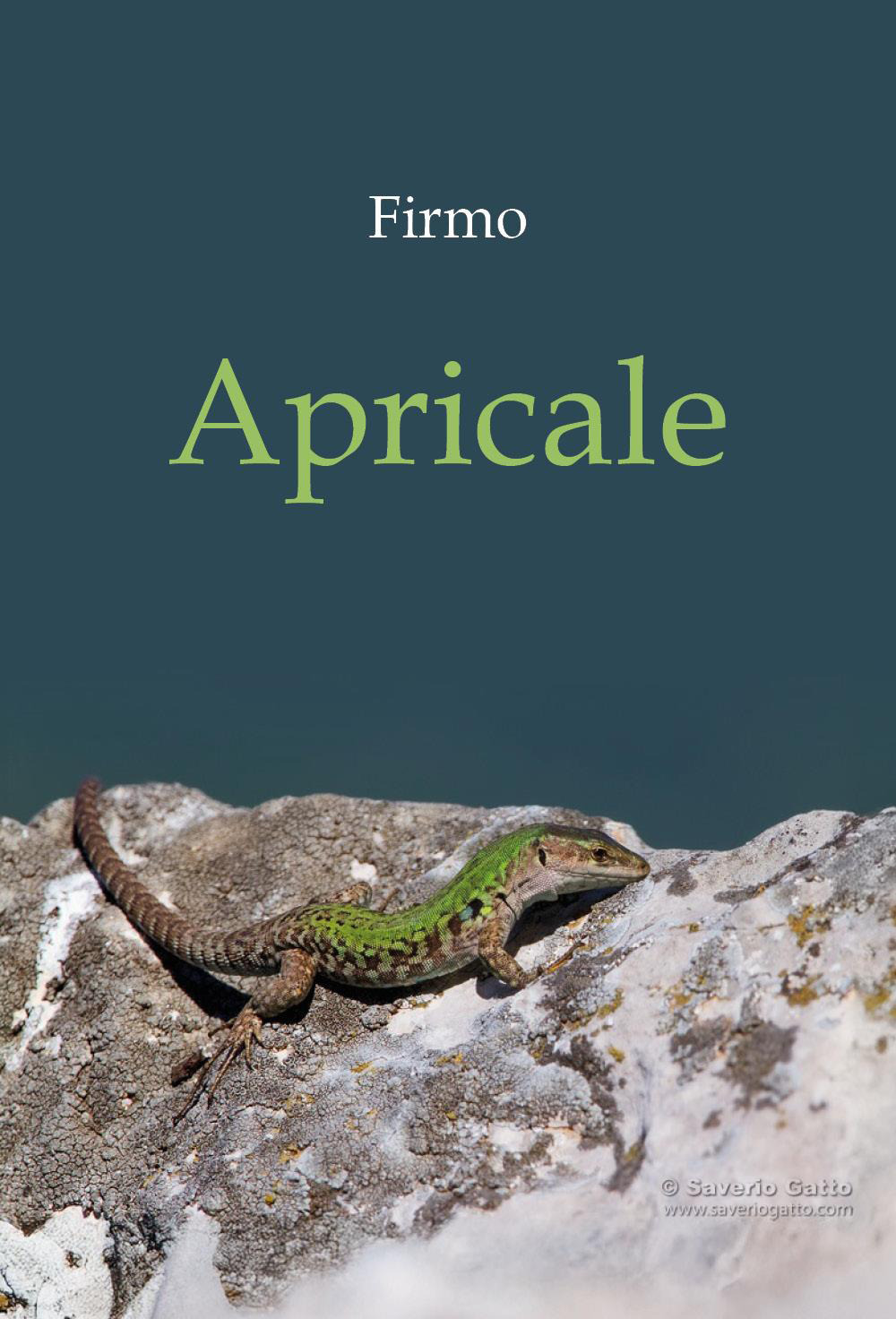 Apricale