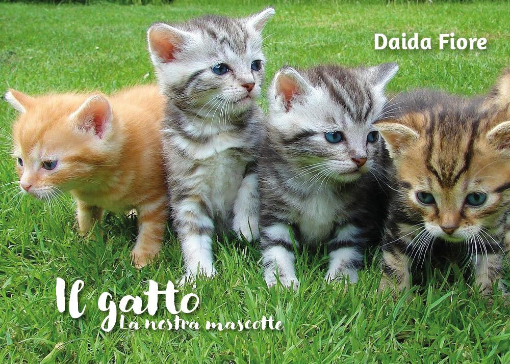 Il gatto. La nostra mascotte