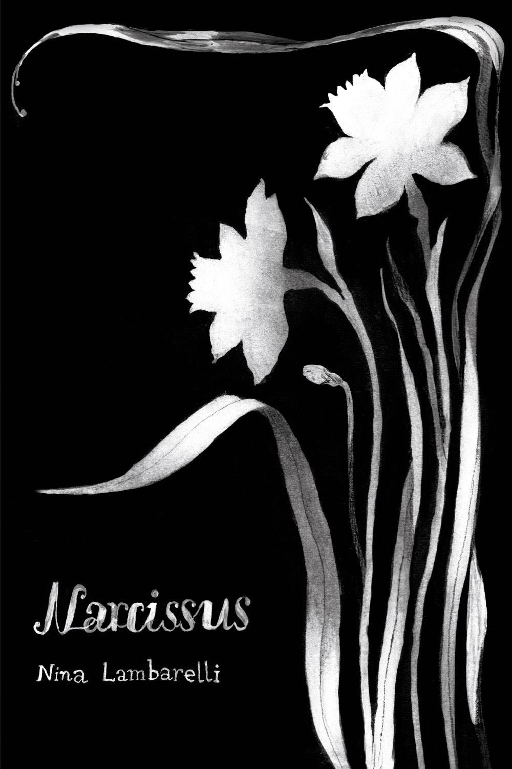 Narcissus