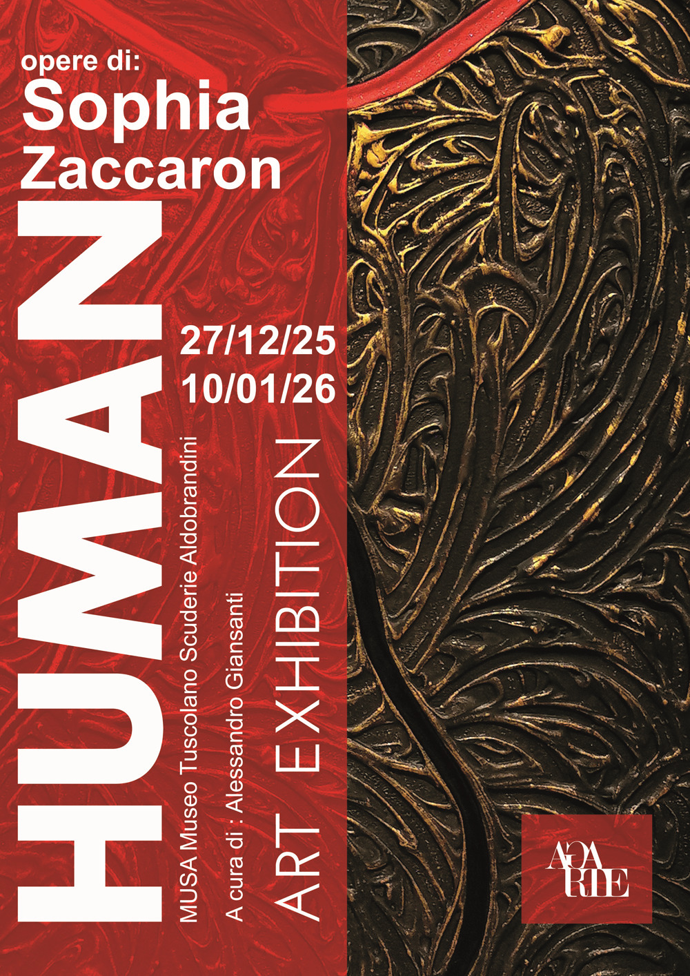 Human. Opere di Sophia Zaccaron. Ediz. illustrata