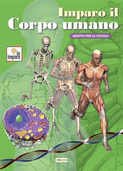 Imparo il corpo umano. Ediz. illustrata