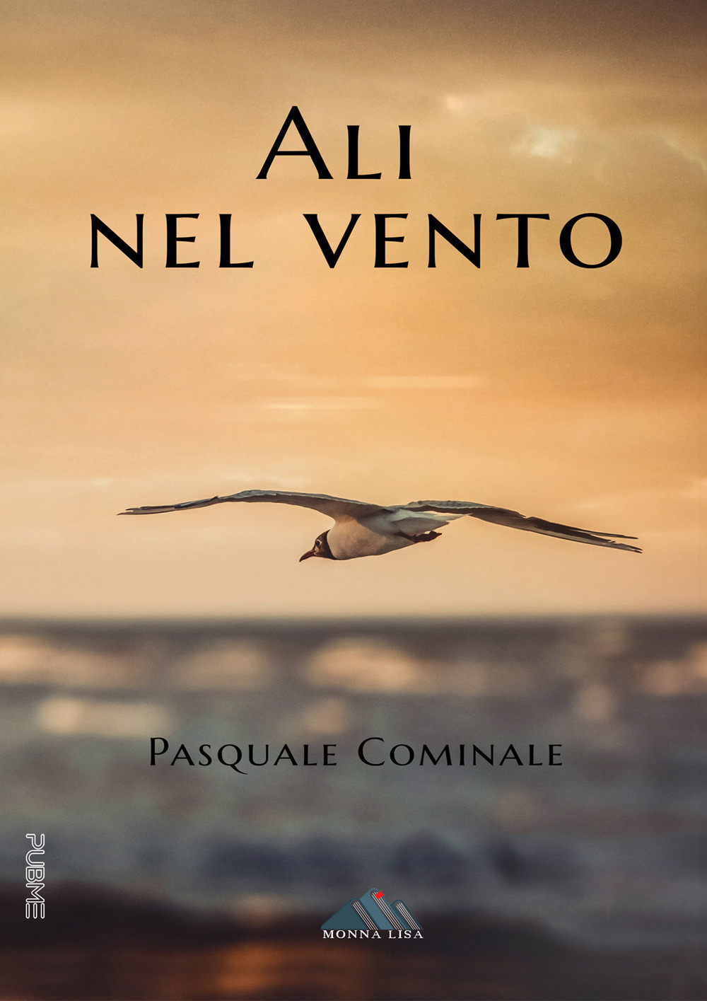 Ali nel vento