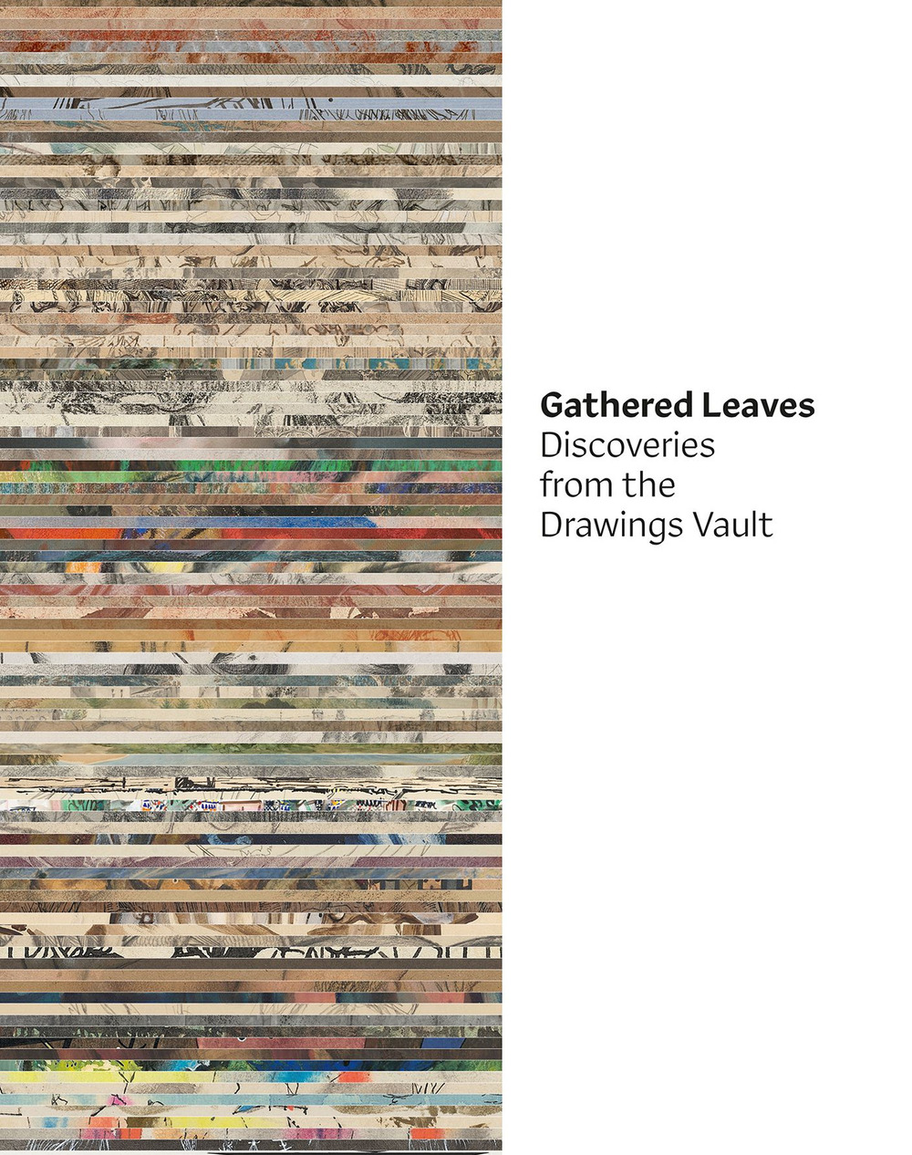 Gathered leaves. Discoveries from the drawings vault