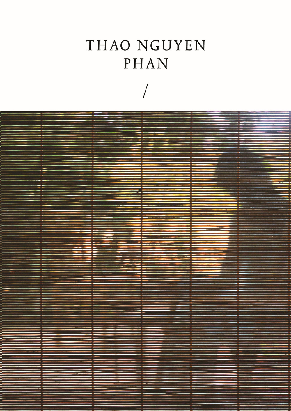 Thao Nguyen Phan Reincarnations of shadows. Ediz. italiana e inglese