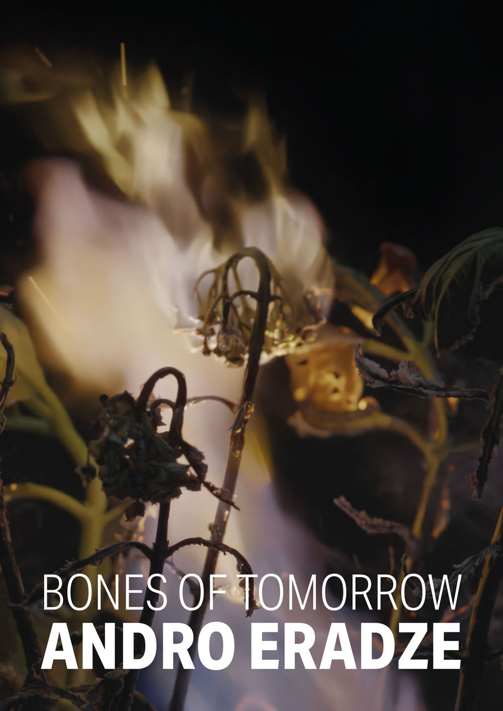 Andro Eradze. Bones of Tomorrow. Ediz. italiana e inglese