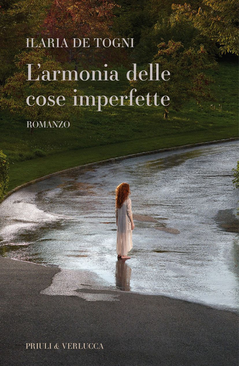 L'armonia delle cose imperfette