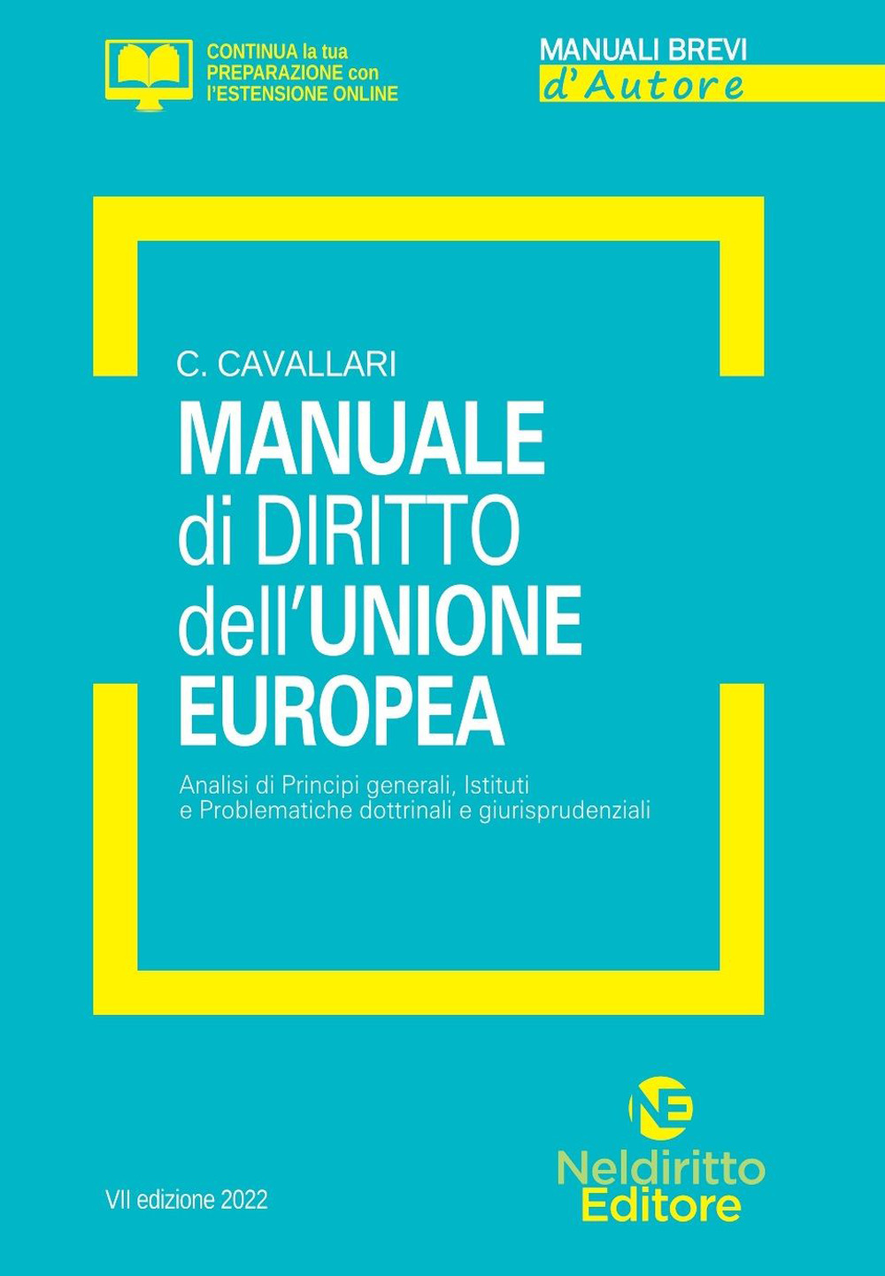 Manuale di diritto dell'Unione Europea. Analisi di principi generali, Istituti e problematiche dottrinali e giurisprudenziali. Con espansione online