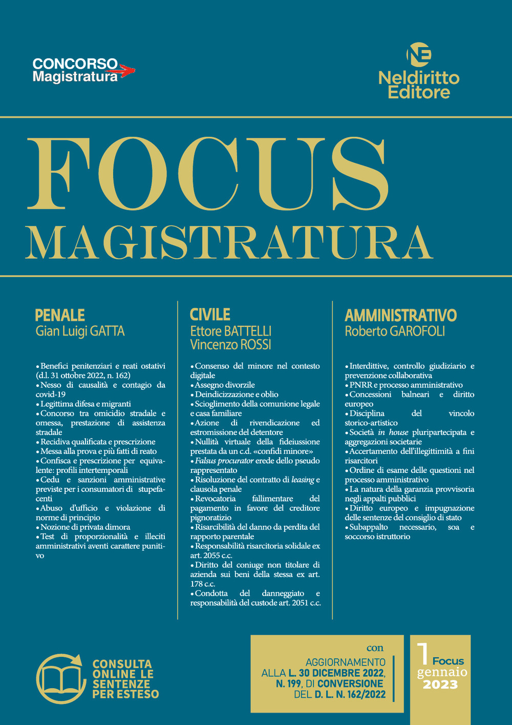 Focus magistratura. Concorso magistratura 2023: Penale, civile, amministrativo. Vol. 1
