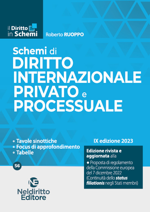 Schemi di diritto internazionale privato e processuale