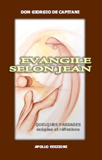 Evangile selon Jean. Quelques passages. Exégèse et réflexions