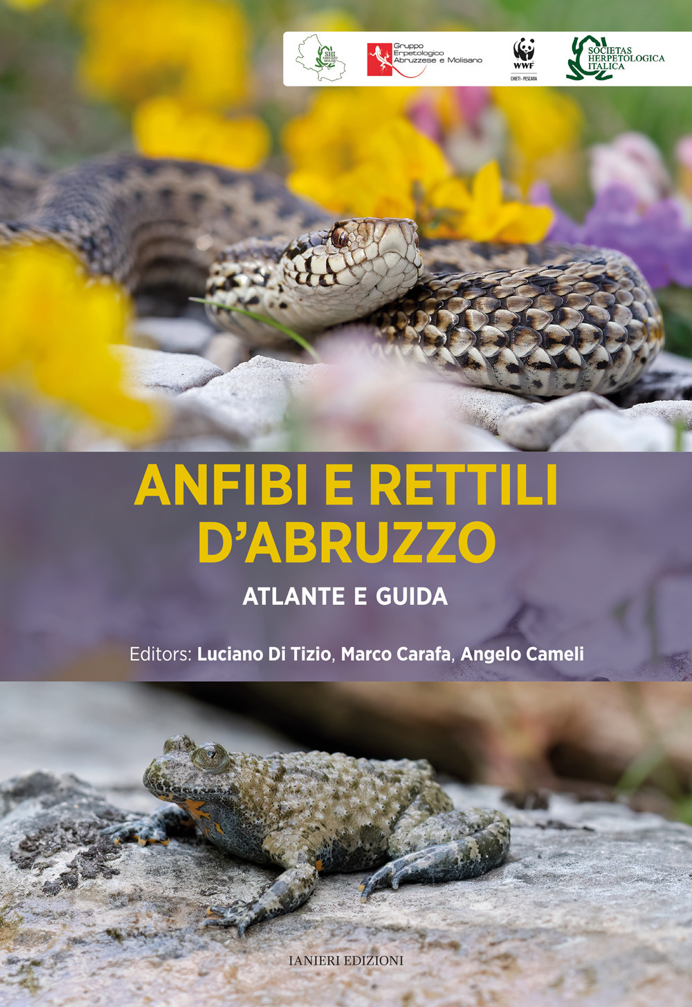 Anfibi e rettili d'Abruzzo. Atlante e guida