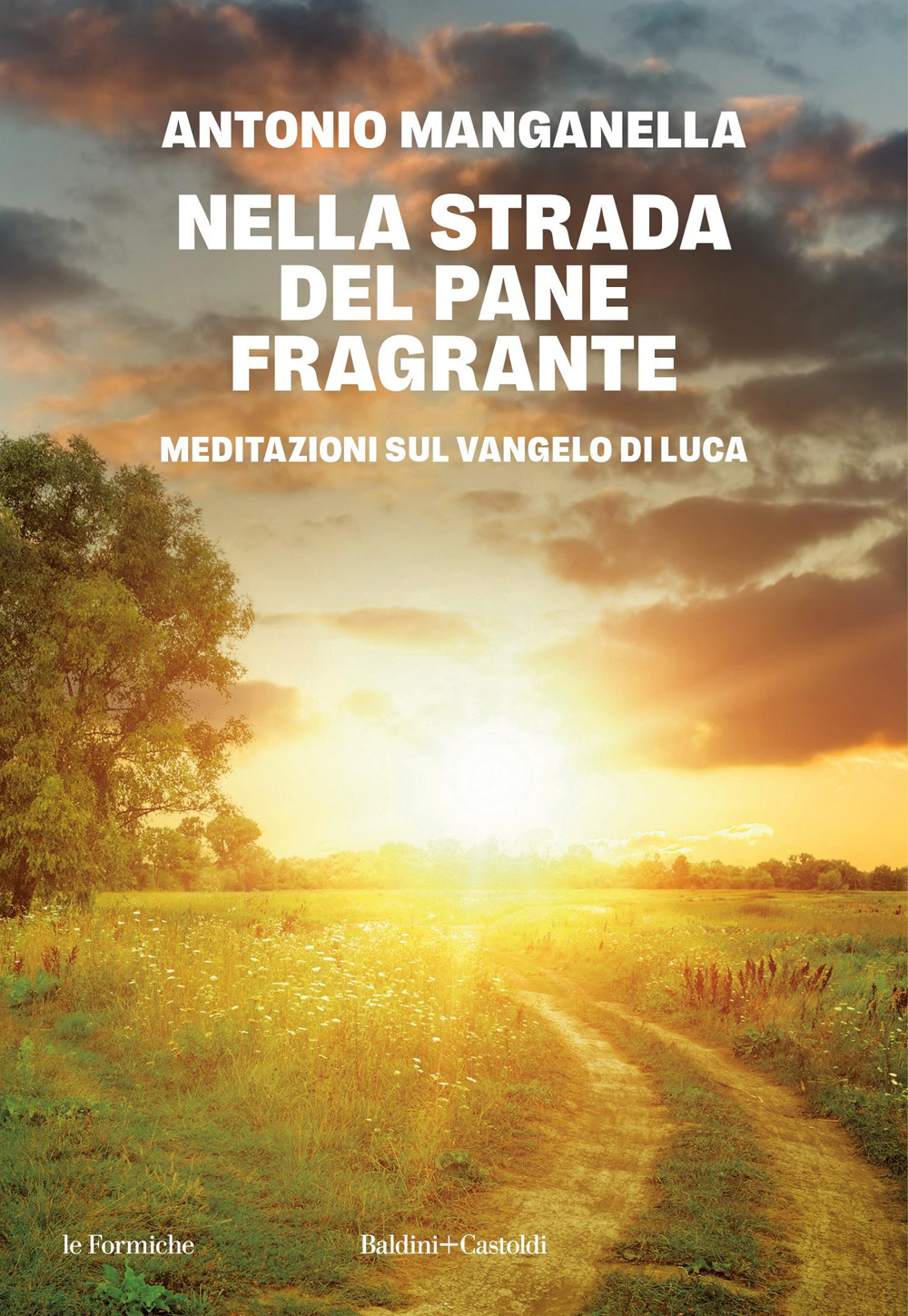 Nella strada del pane fragrante. Meditazioni sul Vangelo di Luca
