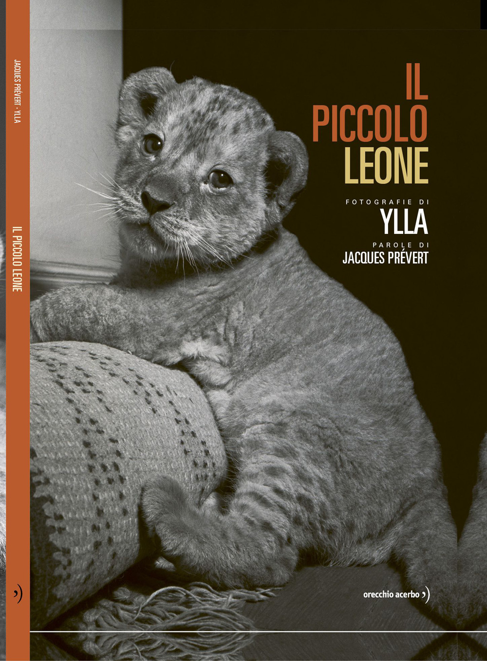 Il piccolo leone. Ediz. illustrata