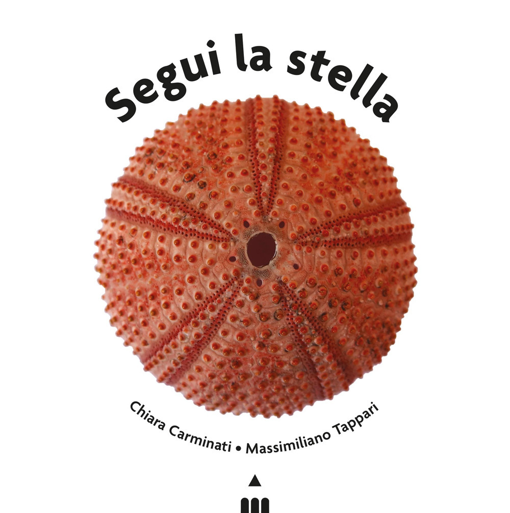 Segui la stella. Ediz. a colori