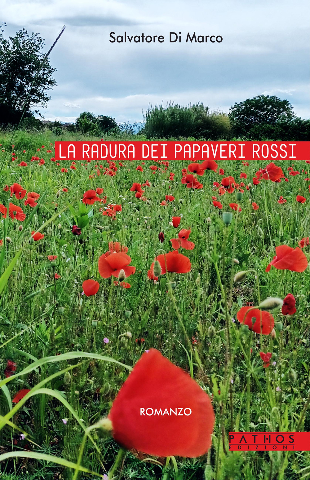 La radura dei papaveri rossi