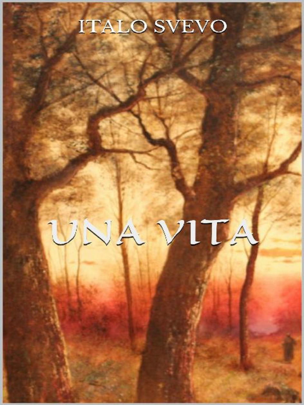 Una vita